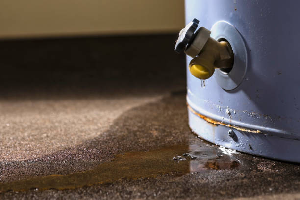 Best 24/7 water damage repair  in Leisure Village, NJ