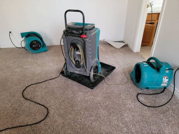 Best 24/7 water damage repair  in Leisure Village, NJ