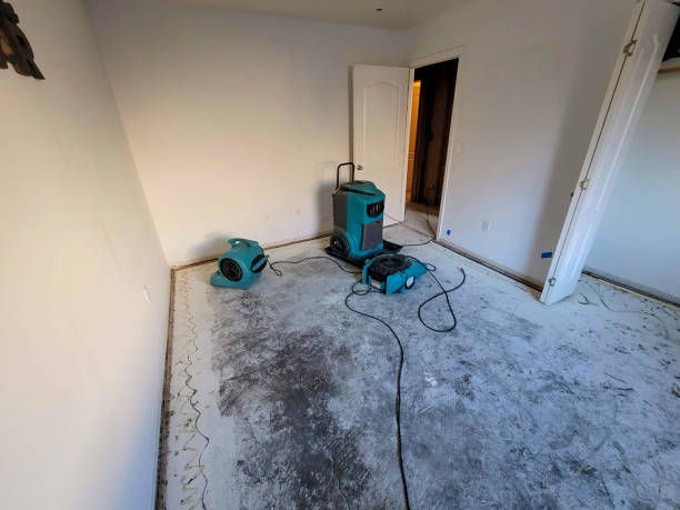 Best Water damage repair service  in Leisure Village, NJ