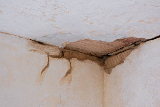 Water damage restoration mold remediation in NJ
