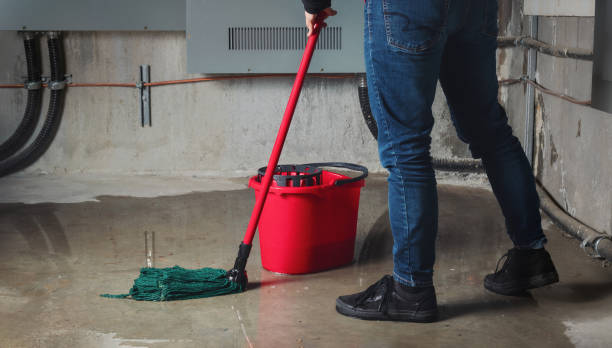 Best Water damage restoration specialists  in Leisure Village, NJ