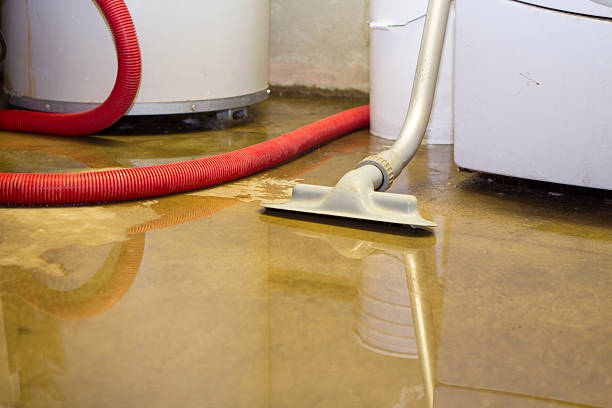 Best Fire Damage Restoration  in Leisure Village, NJ