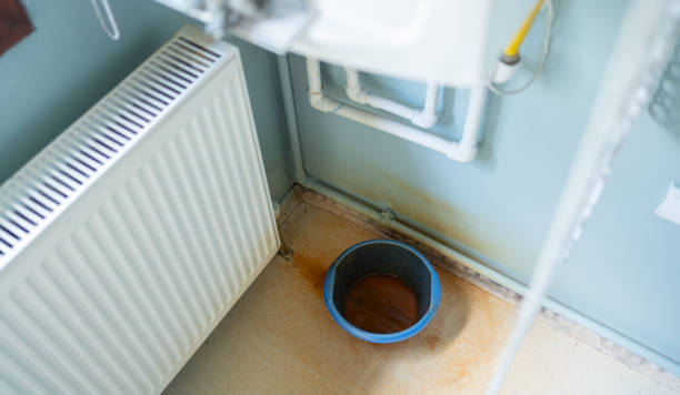 Best Water damage cleanup near me  in Leisure Village, NJ