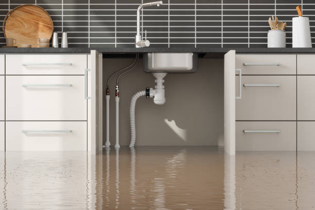 Best Water damage restoration near me  in Leisure Village, NJ